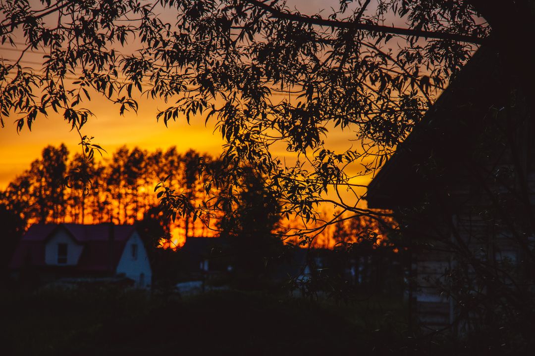 Tranquil Rural Sunset with Silhouetted Trees and Houses - Free Images, Stock Photos and Pictures on Pikwizard.com