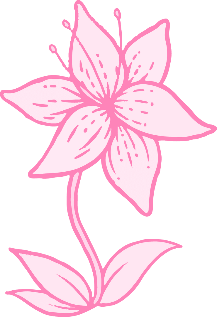 Pink Hand-Drawn Flower Illustration on Transparent Background