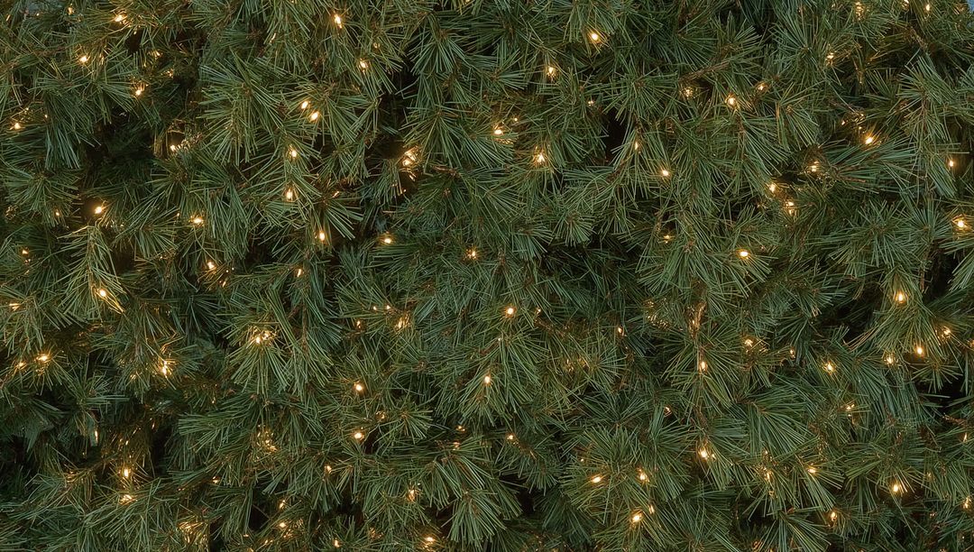 Glowing Evergreen Pine Branches Shimmering with Warm White String Lights, Holiday Texture