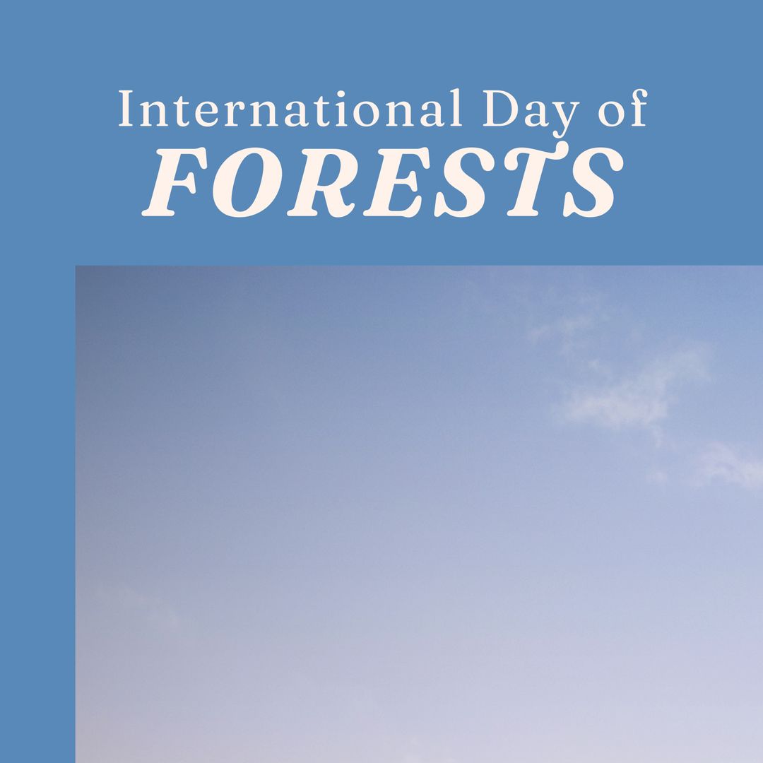 International Day of Forests Sky Background Concept