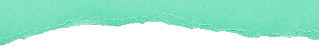 Close-Up Green Torn Paper Transparent with Copy Space