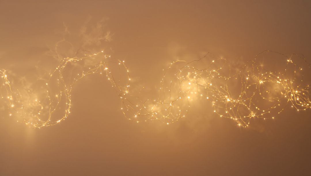 Twinkling Warm White LED Fairy Lights Coiled on Thin Wire with Soft Bokeh Glow