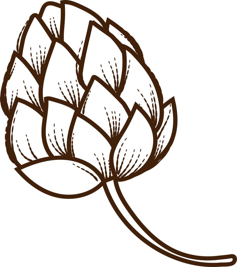 Vintage Flat Design Hop Cone on Transparent Background
