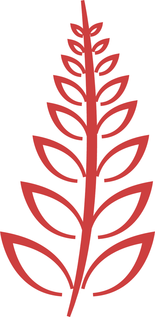 Big Red Twig with Leaves on Transparent Background Vector Illustration