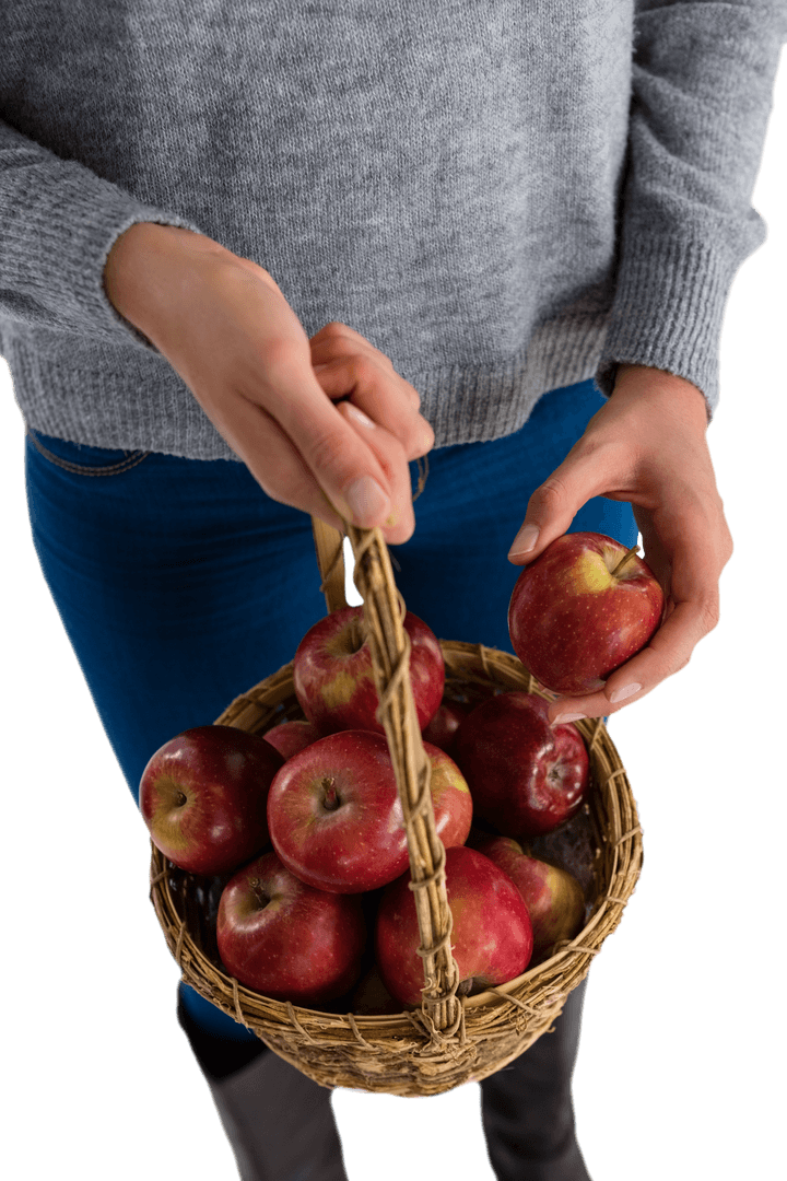 Midsection View Holding Basket of Fresh Red Apples on Transparent Background