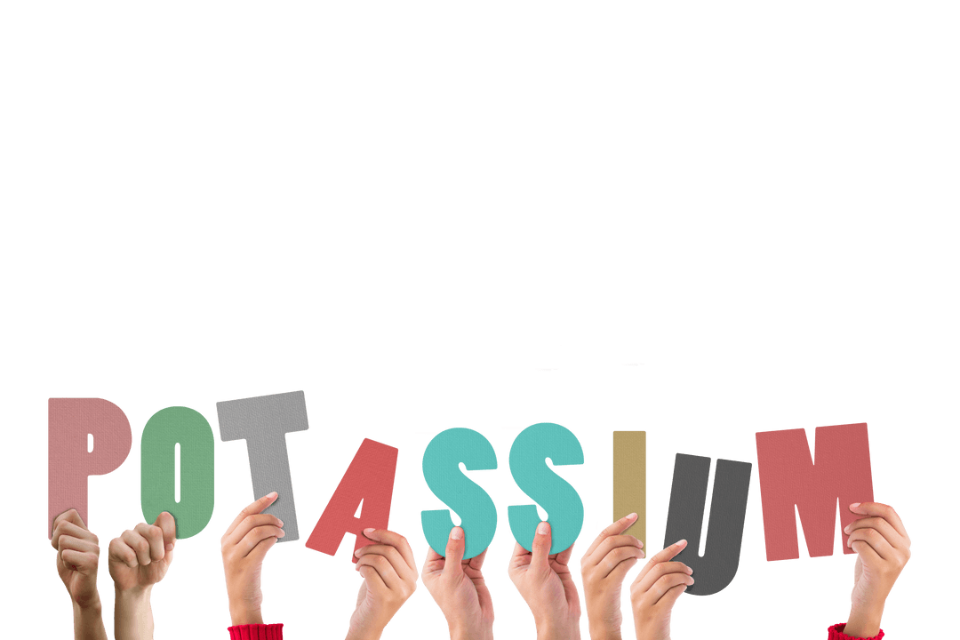 Hands Holding Colorful Letters Spelling Potassium on Transparent Background