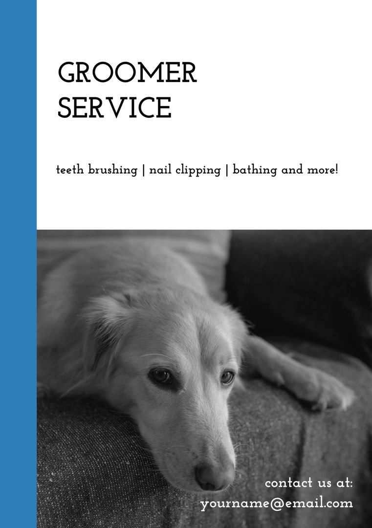 Pet Groomer Services for Dogs with Contact Information