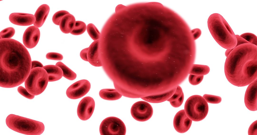 Close-Up View of Red Blood Cells Flowing in Bloodstream - Free Images, Stock Photos and Pictures on Pikwizard.com