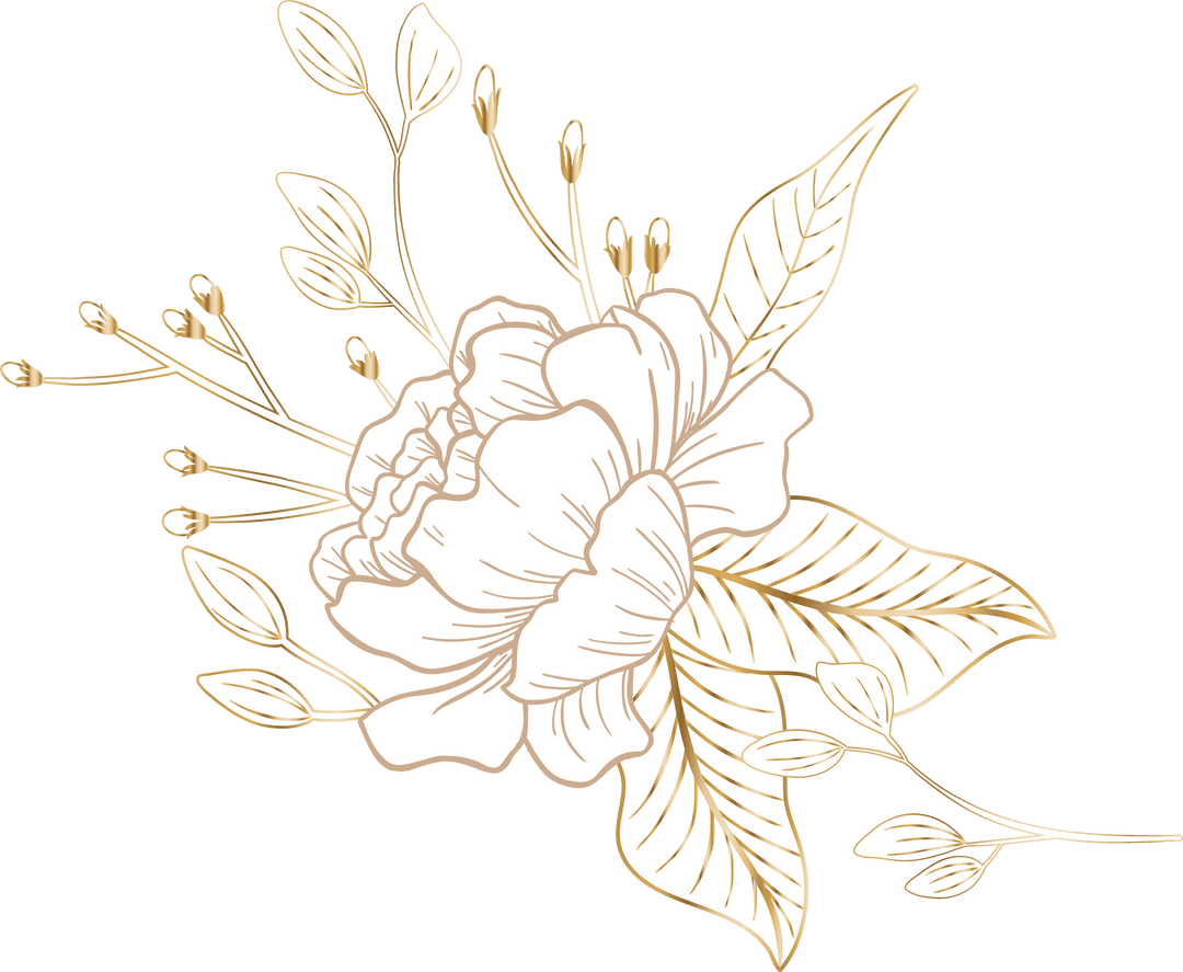 Elegant Peony Floral Illustration on Transparent Background