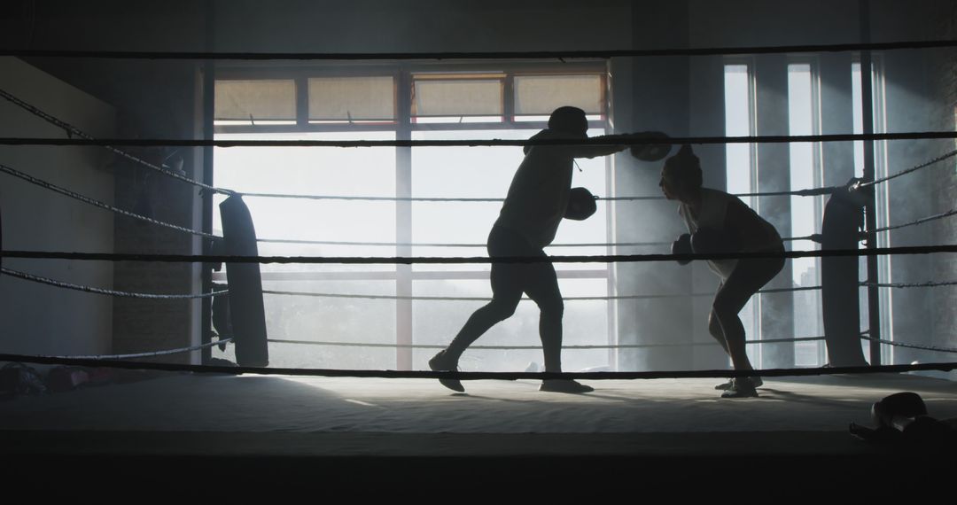 Boxers Sparring in Ring with Sunlight Coming Through Windows - Free Images, Stock Photos and Pictures on Pikwizard.com