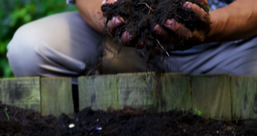 Gardener Holding Rich Soil with Both Hands Above Garden Bed - Free Images, Stock Photos and Pictures on Pikwizard.com