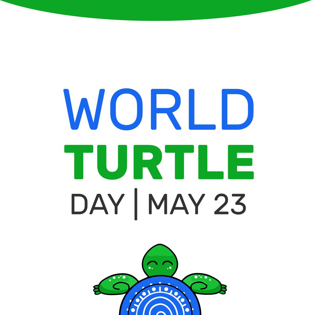 World Turtle Day Awareness Graphic with Turtle Illustration