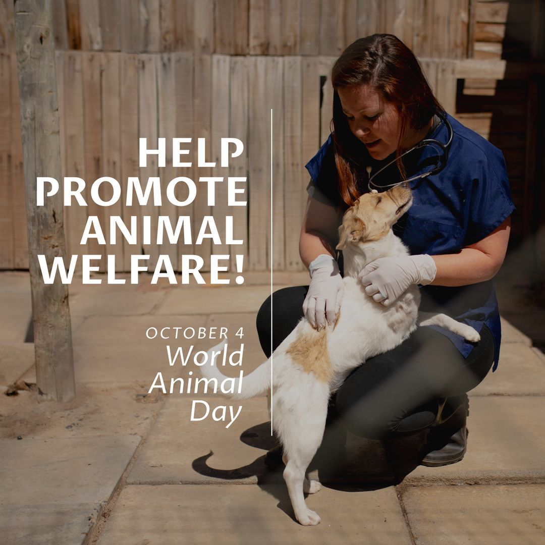Vet Caring for Dog to Promote Animal Welfare
