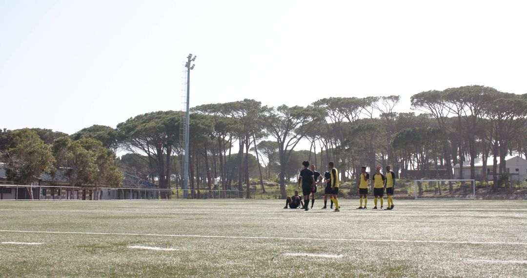 Soccer Team Practicing on Sunlit Field with Referee and Coaches