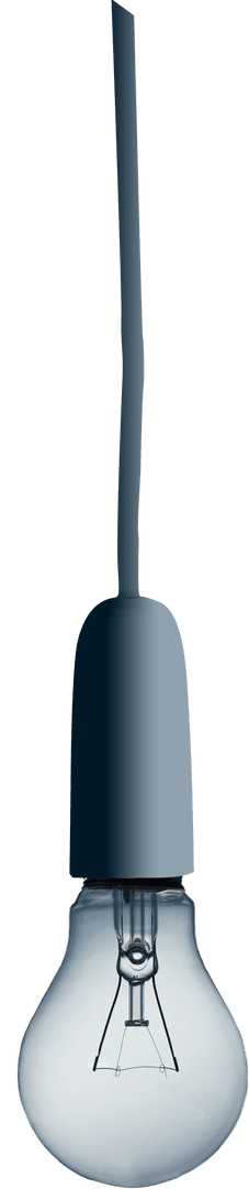 Hanging Transparent Light Bulb on Cord