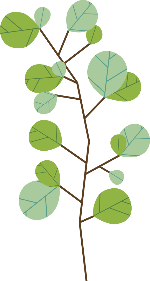 Stylized Botanical Branch with Round Leaves on Transparent Background