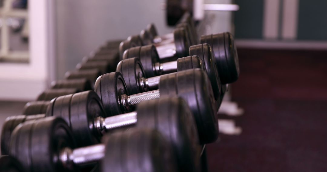 Row of Dumbbells in Modern Gym Ready for Workout - Free Images, Stock Photos and Pictures on Pikwizard.com