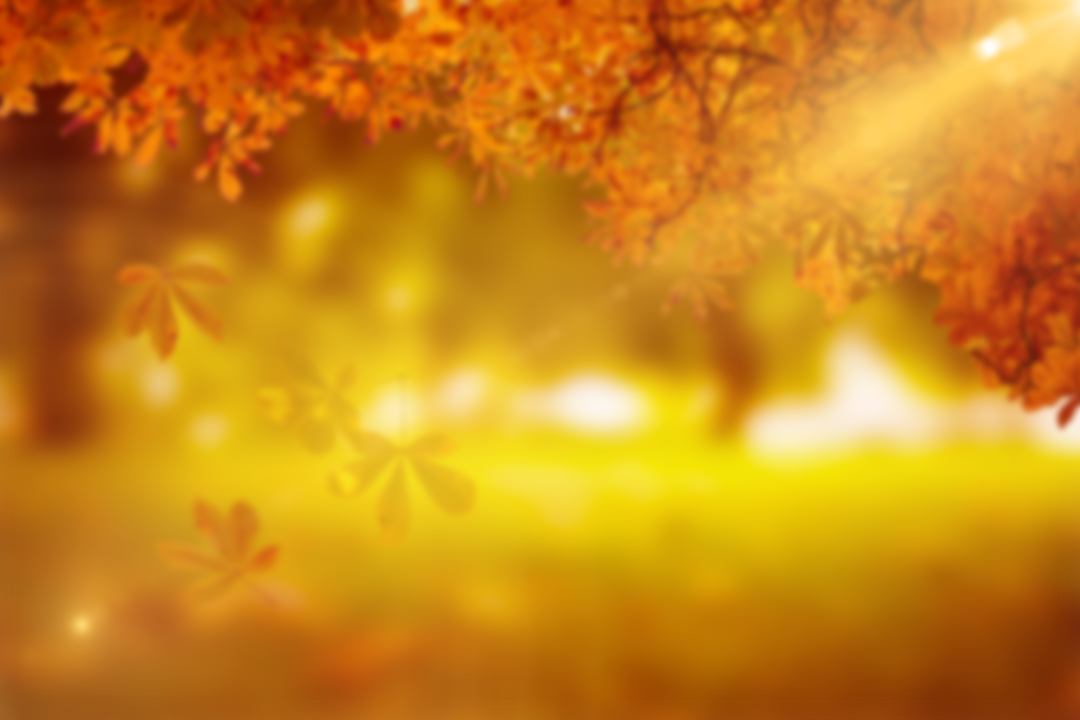 Beautiful Transparent Autumn Leaves Falling on Grassy Field with Golden Sunlight - Download Free Stock Images Pikwizard.com