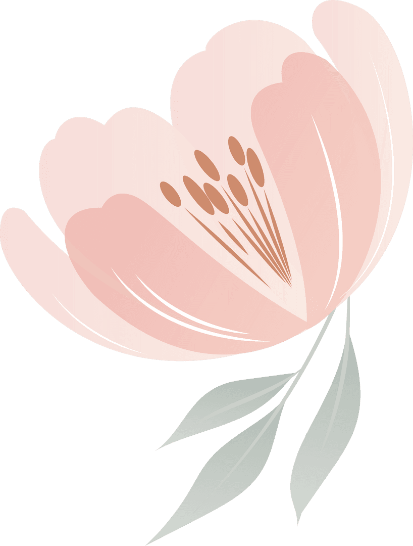 Pink Minimalist Blossom with Transparent Background