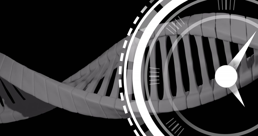 Digital Clock Moving Over DNA Strand Conceptual Background
