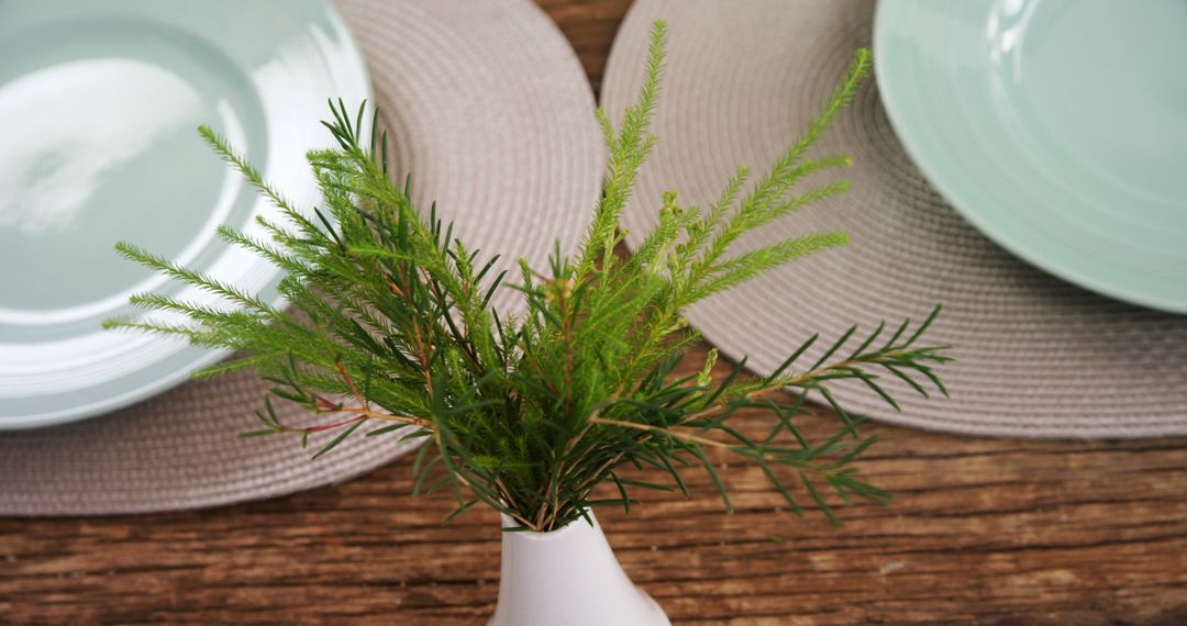 A small plant in a white vase sits on a wooden table between two place settings, with copy space - Free Images, Stock Photos and Pictures on Pikwizard.com