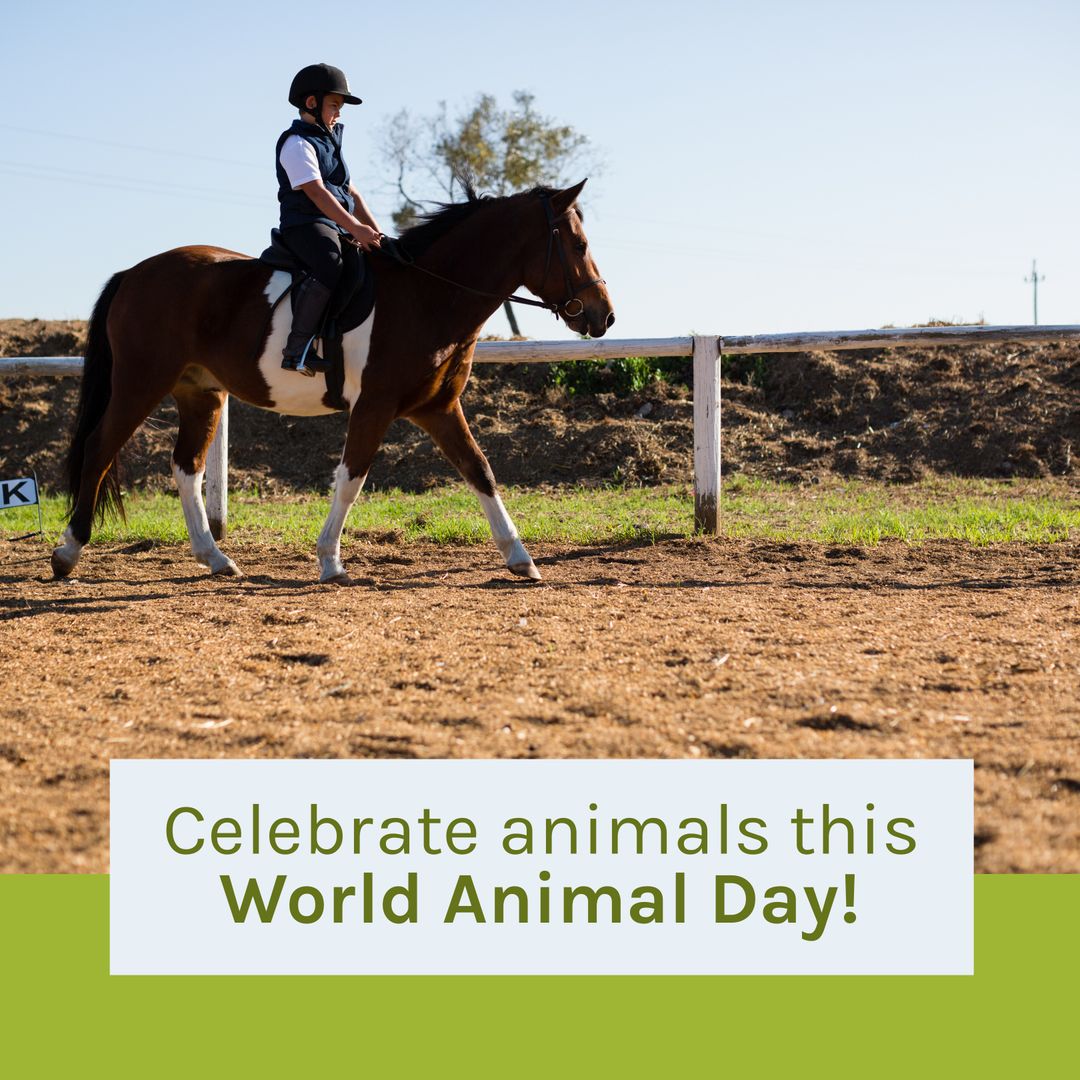 Young Boy Riding Horse on World Animal Day - Download Free Stock Templates Pikwizard.com