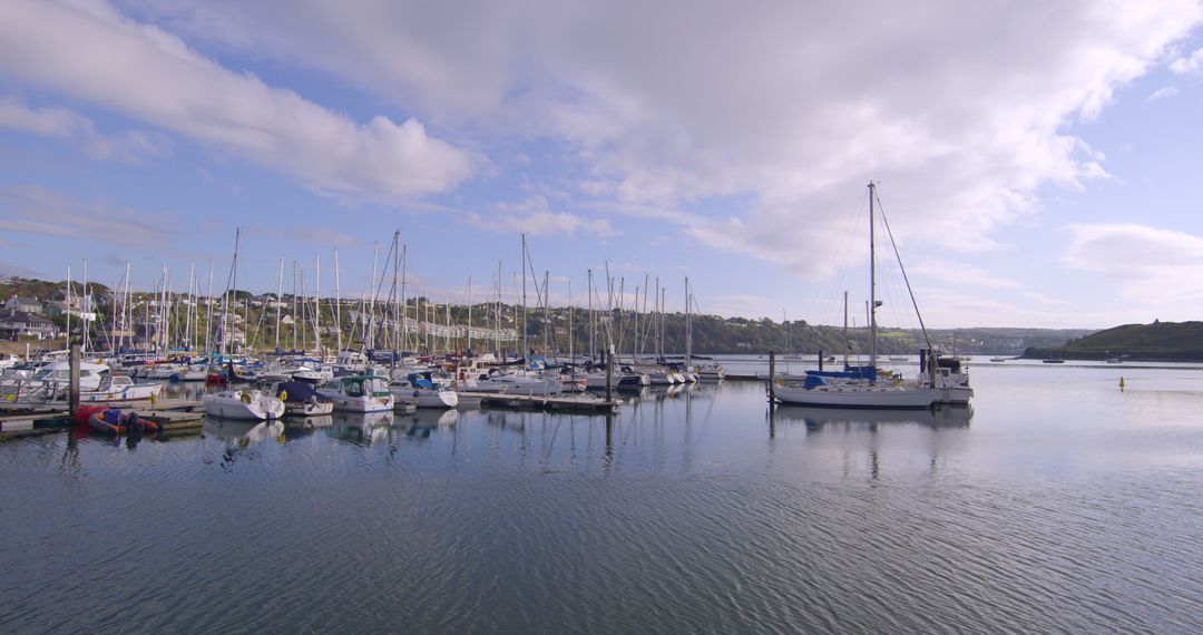 Serene Marina with Sailboats Anchored in Calm Waters - Free Images, Stock Photos and Pictures on Pikwizard.com