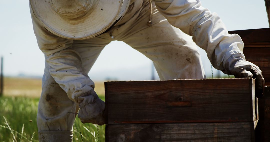 Beekeeper Handling Honeybee Hive in Wooden Frames - Free Images, Stock Photos and Pictures on Pikwizard.com