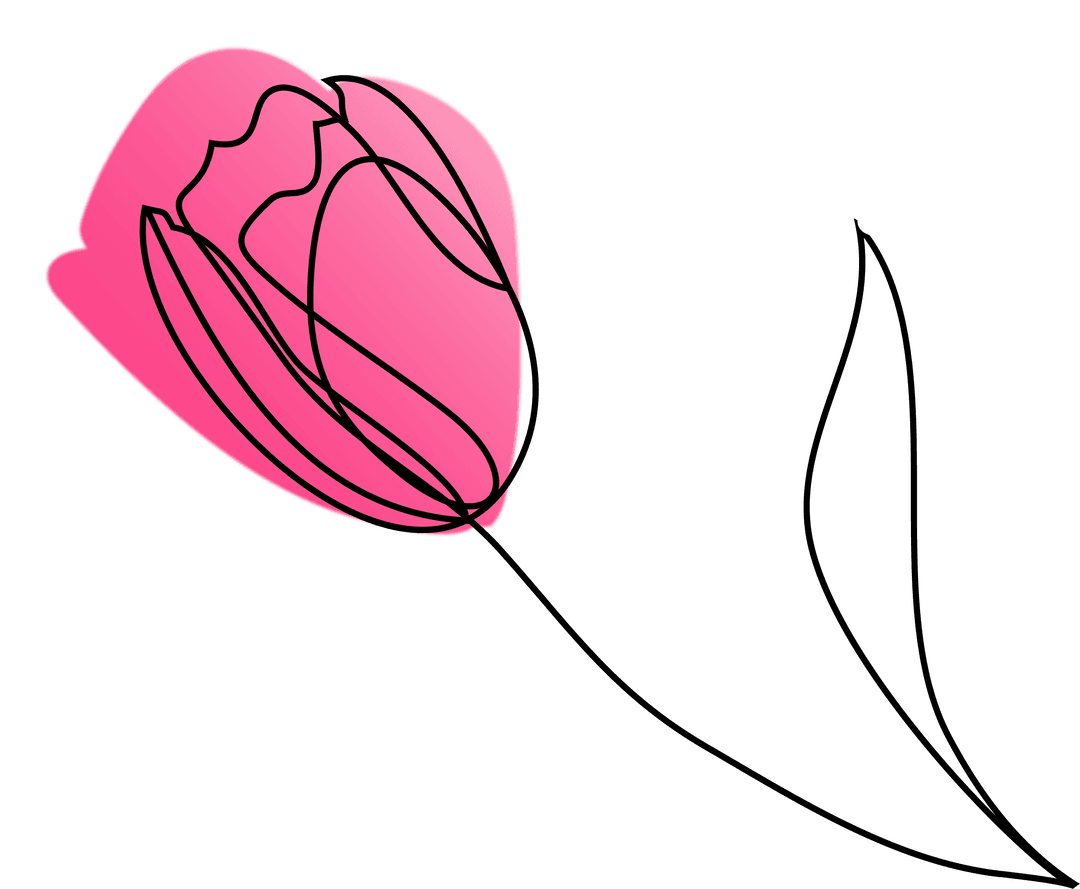 Minimalist Flower Line Art with Pink Gradient on Transparent