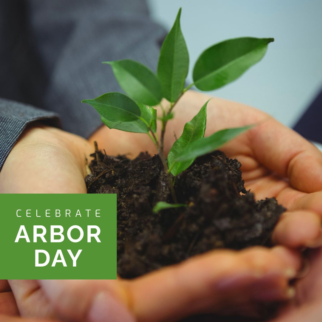 Caucasian Woman Holding Seedling Celebrating Arbor Day - Download Free Stock Templates Pikwizard.com