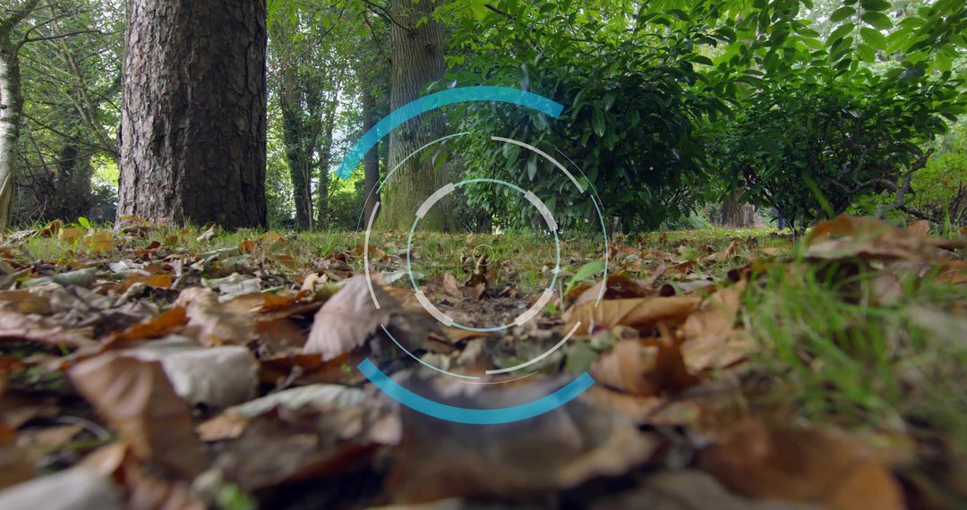 Futuristic AR HUD hovering over autumn forest floor with cyan concentric rings