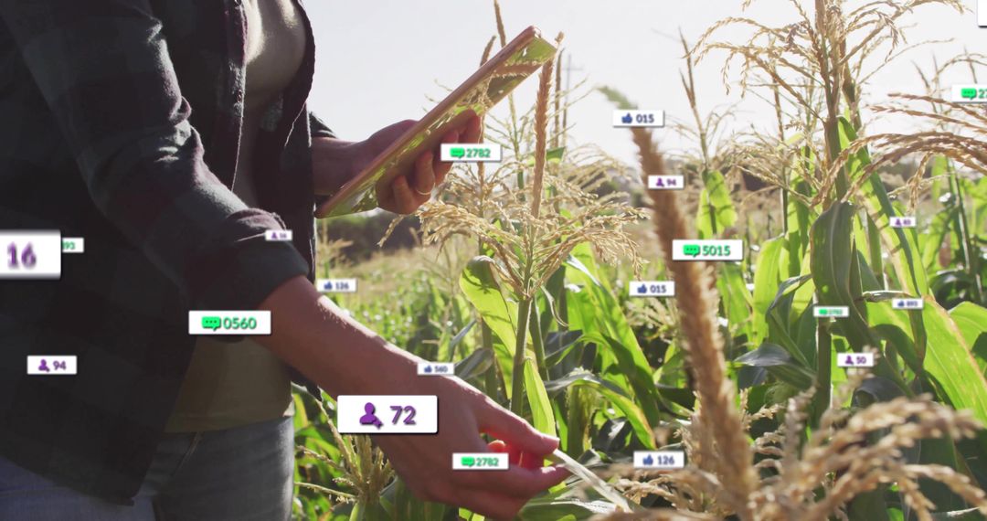 Farmer Using Modern Technology in Cornfield for Precision Farming