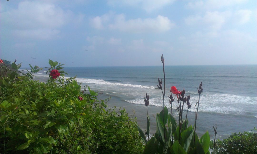 Scenic Ocean View with Red Flowers and Lush Greenery - Free Images, Stock Photos and Pictures on Pikwizard.com