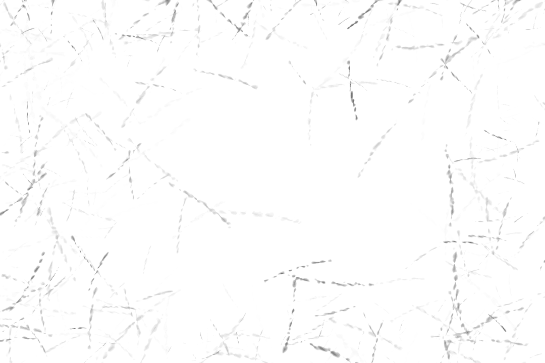 Abstract Faint Lines on Transparent Background Illustration