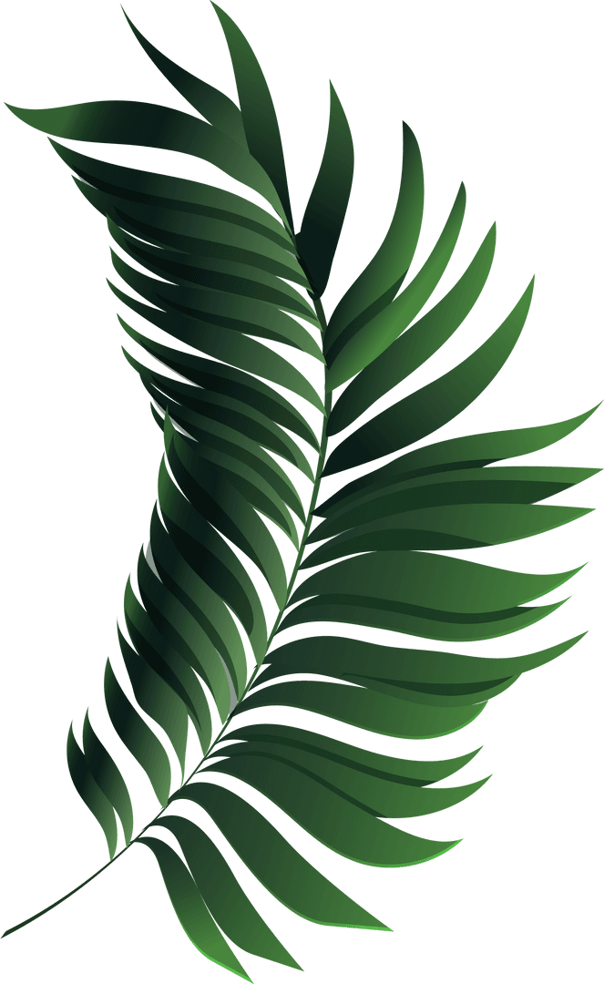 3D Tropical Palm Leaf with Gradient Shading on Transparent Background