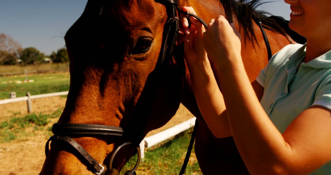 Woman Adjusting Bridle on Brown Horse in Outdoor Ranch - Free Images, Stock Photos and Pictures on Pikwizard.com