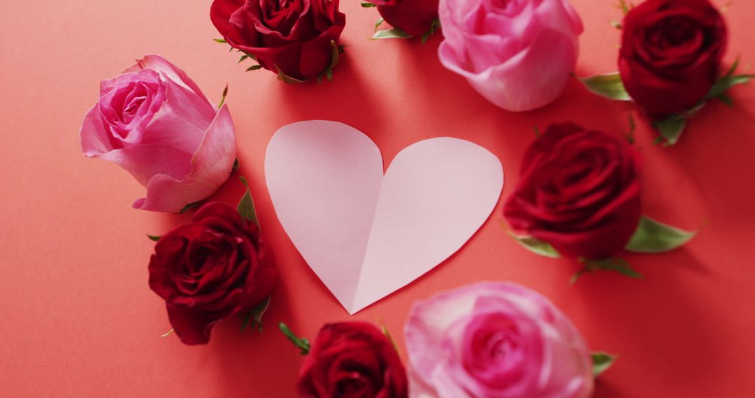 Romantic Roses and Heart Shape on Red for Valentine's Day Love Theme