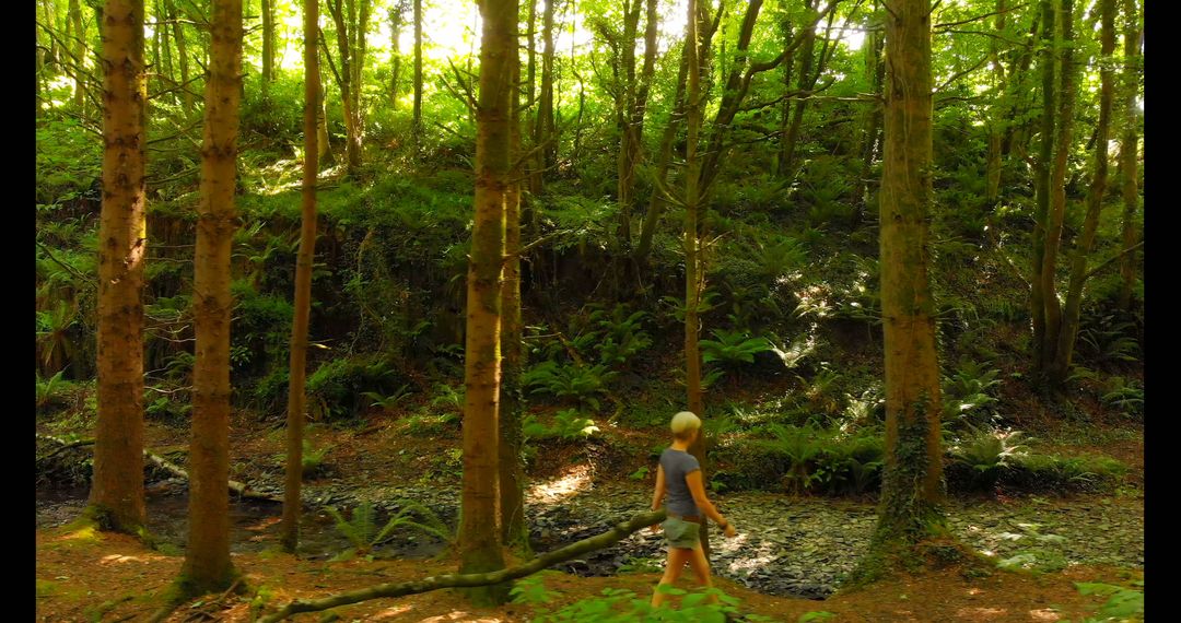 Woman Exploring Tranquil Forest with Lush Greenery