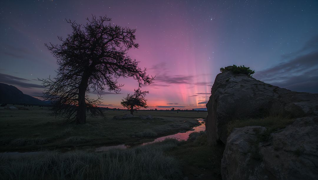 Twilight meadow glowing with magenta light pillars, silhouetted trees and starlit sky