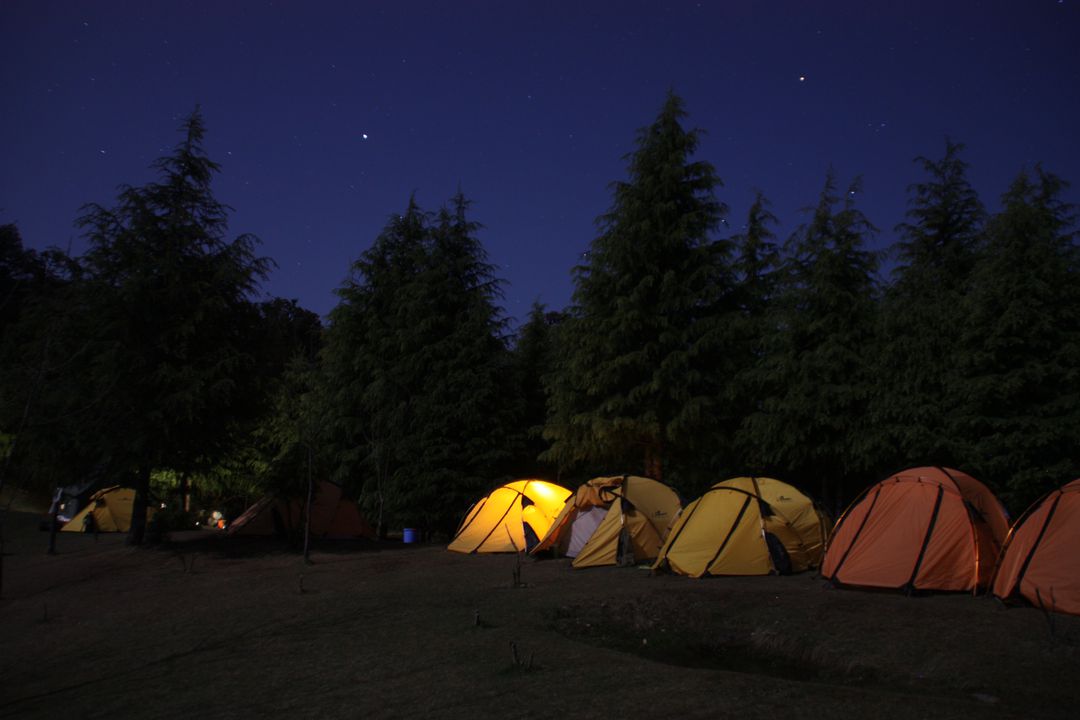 Group Camping in Forest at Night with Illuminated Tents - Free Images, Stock Photos and Pictures on Pikwizard.com