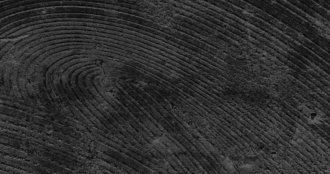 Abstract Black Curves and Textures Background