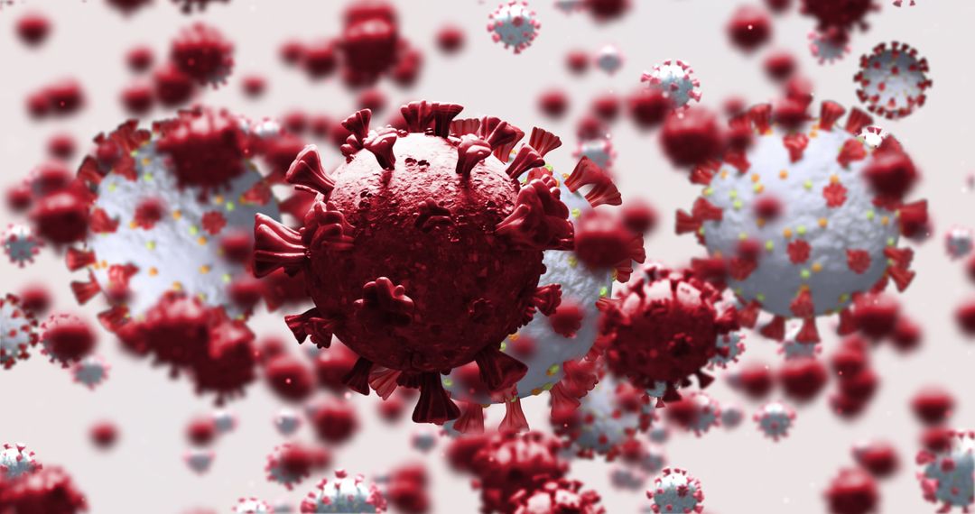 3D Macro View of Coronavirus Cells with Detailed Surface