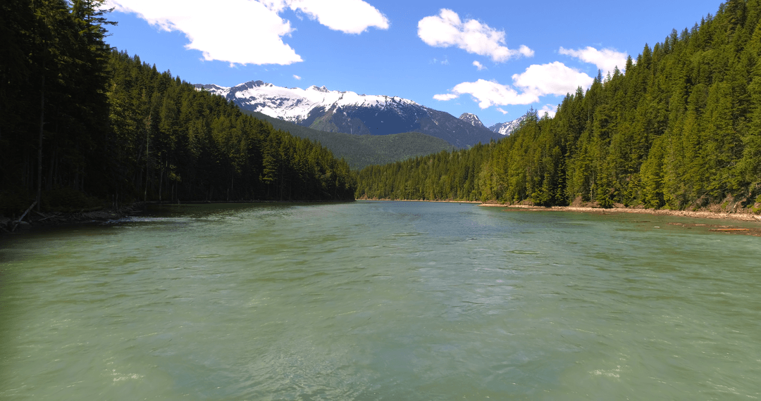 Transparent River with Forest and Snow-Topped Mountains