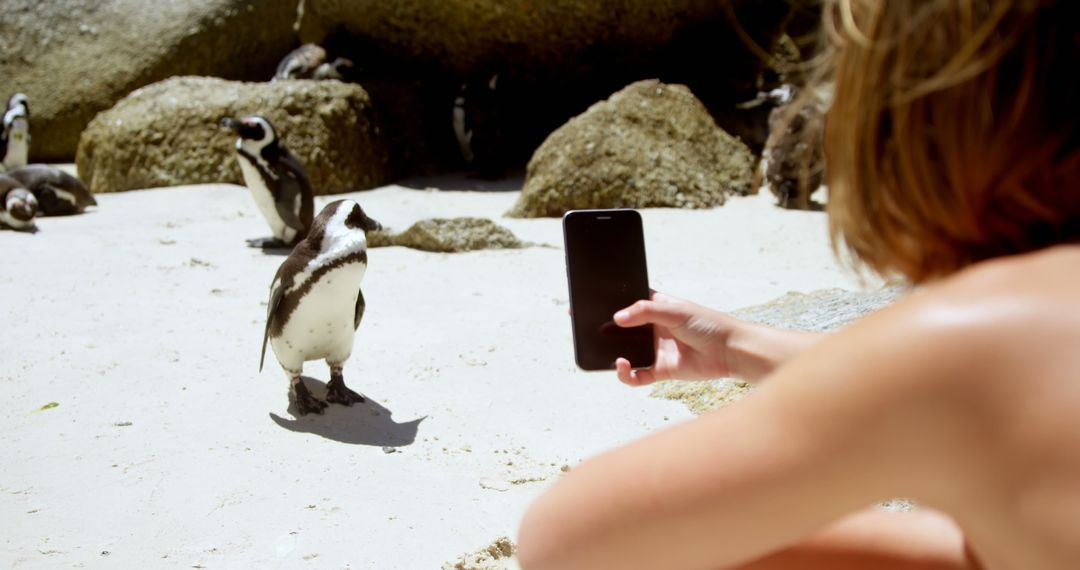 Tourists capturing penguins on sandy beach with smartphone - Free Images, Stock Photos and Pictures on Pikwizard.com