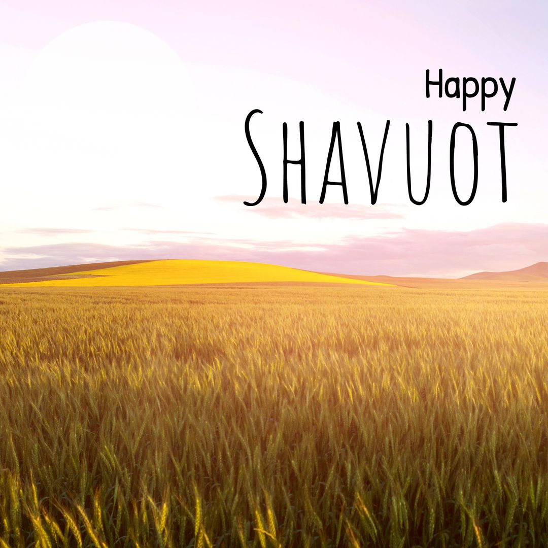 Happy Shavuot in Wheat Field Sunset Serenity