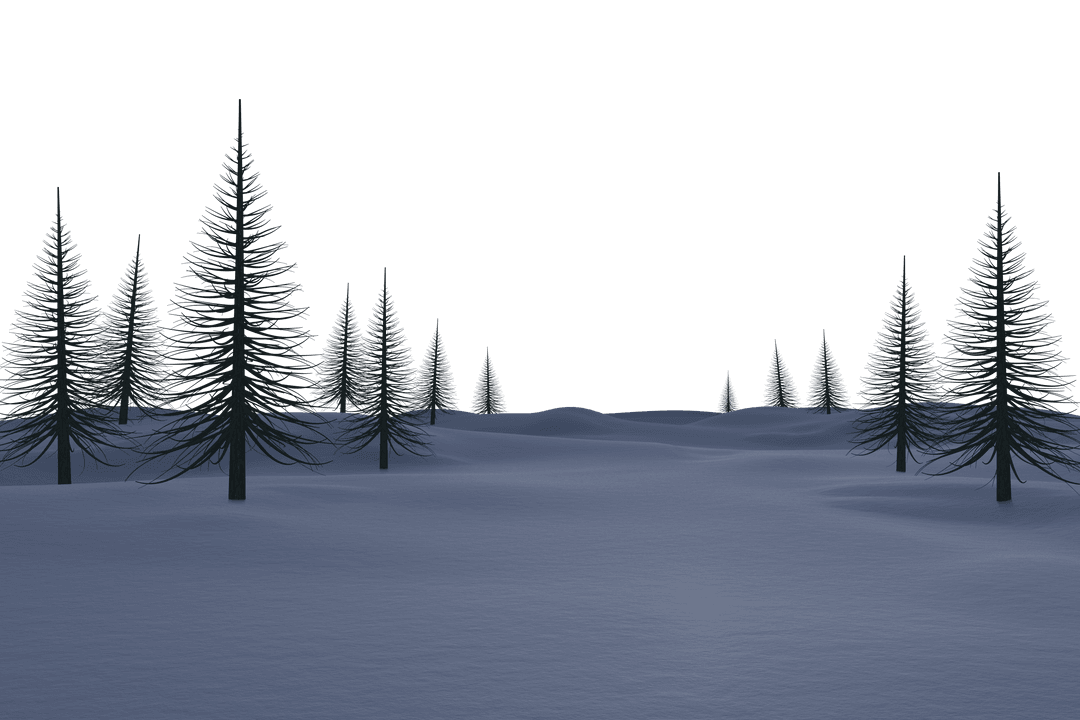 Transparent Snowy Landscape with Bare Trees in Winter