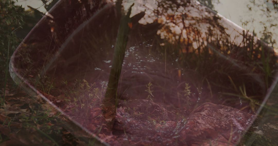 Reflection in Mirror of Forest Glade with Serenity and Nature