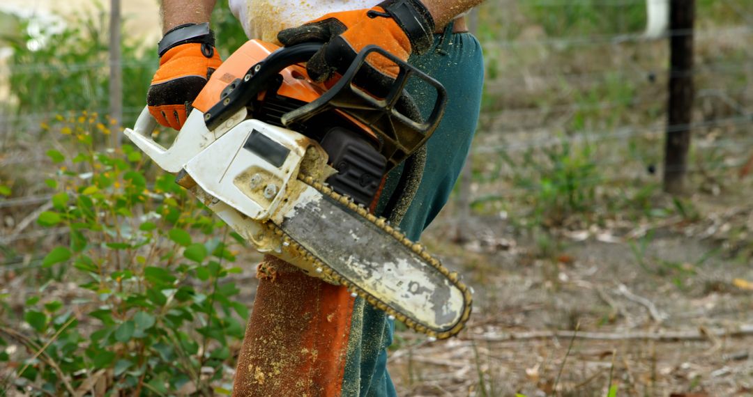 Person Holding Chainsaw in Forest Area - Free Images, Stock Photos and Pictures on Pikwizard.com