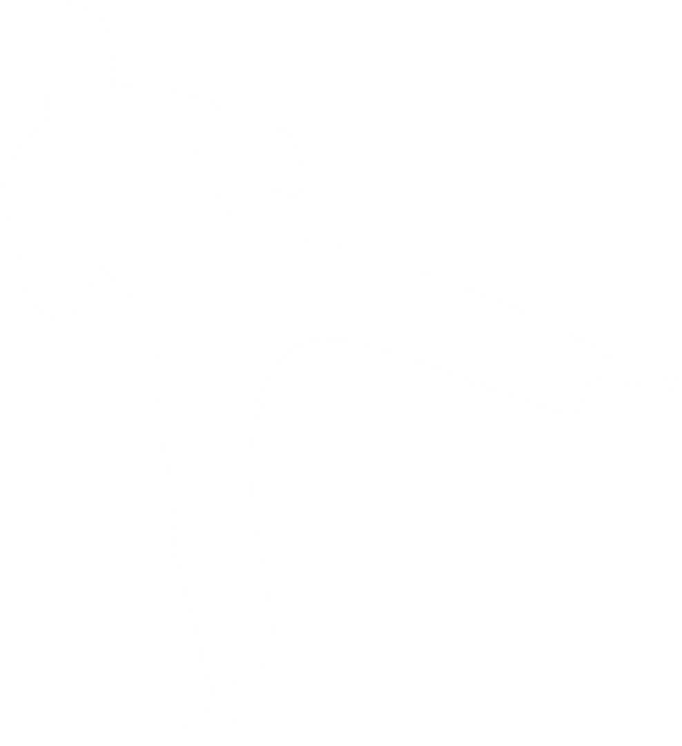 Martial Artist Kicking Boxing Action Transparent Background Silhouette - Download Free Stock Images Pikwizard.com