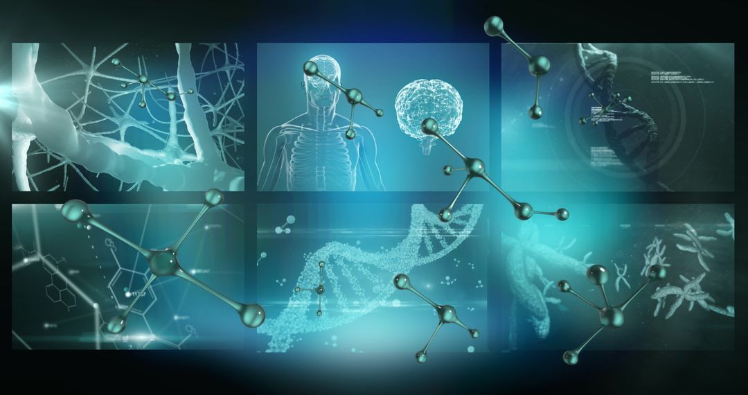 Futuristic Medical Data Processing with Digital Interfaces